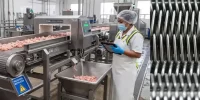 Banda Transportadora Metálica Magnéticas En La Industria Alimentaria