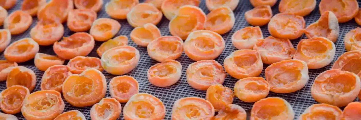 Industria Alimentaria Malla Metálica