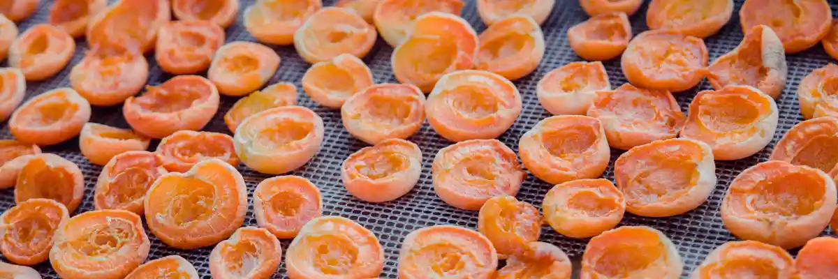 Industria Alimentaria Malla Metálica